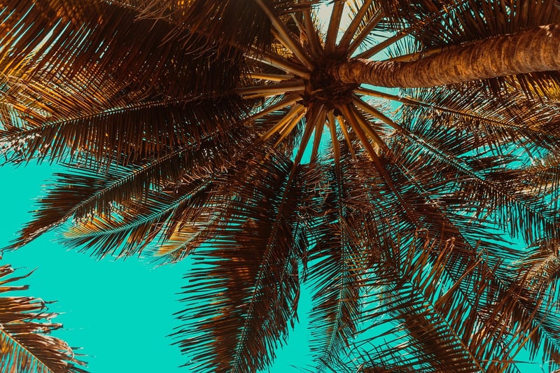 Luxury Beach Resort
